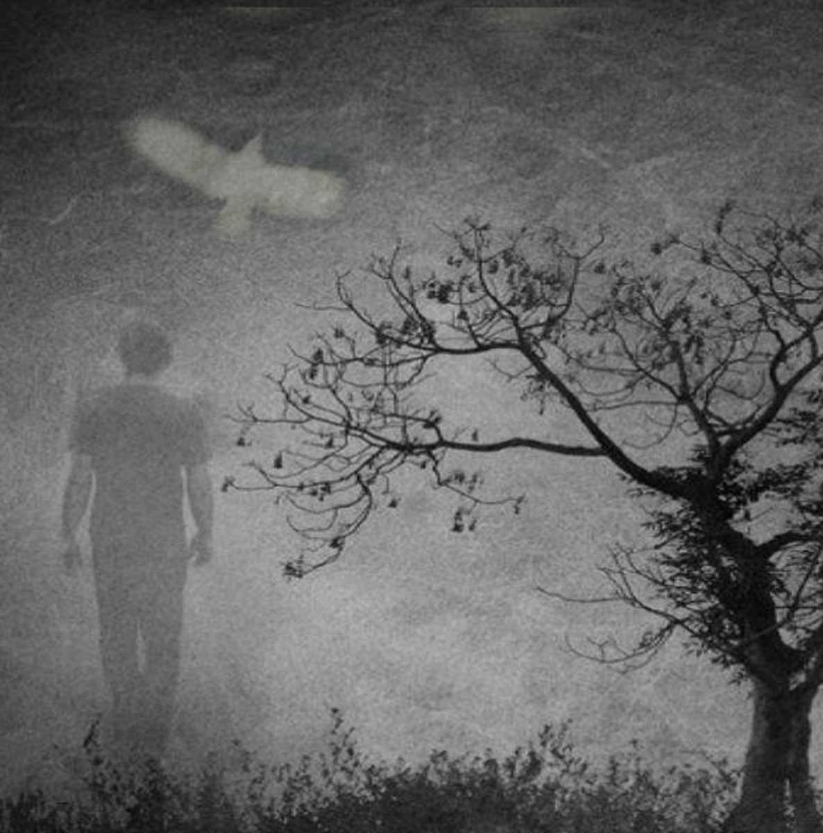 Использовано из свободного доступа в интернете в иллюстративных целях