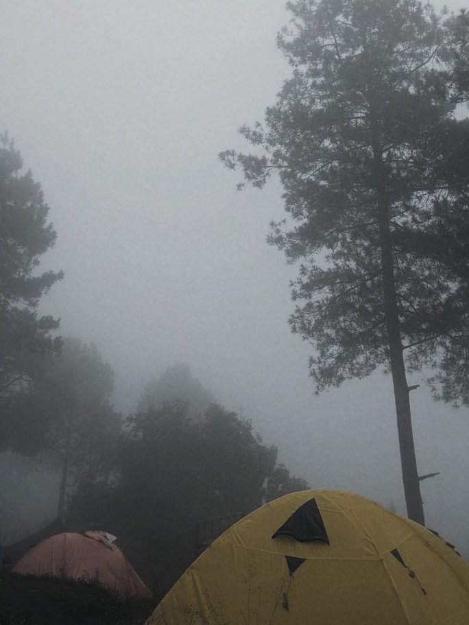 Лагерь друзей.