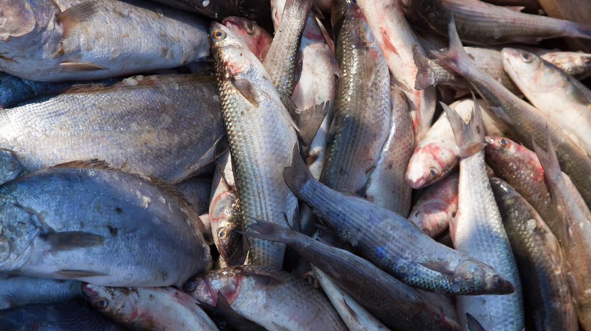 Фото: bearfotos / Freepik.com