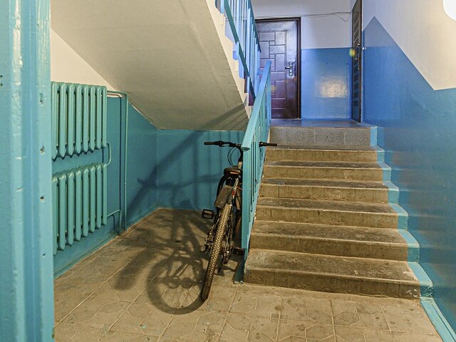    Фото: 123RF.com/zhyk1988