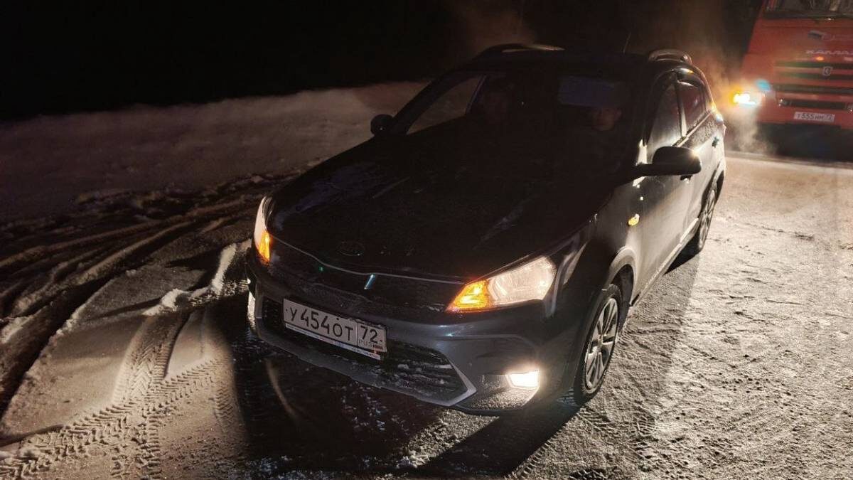    Фото: Telegram / Госавтоинспекция Тюменской области