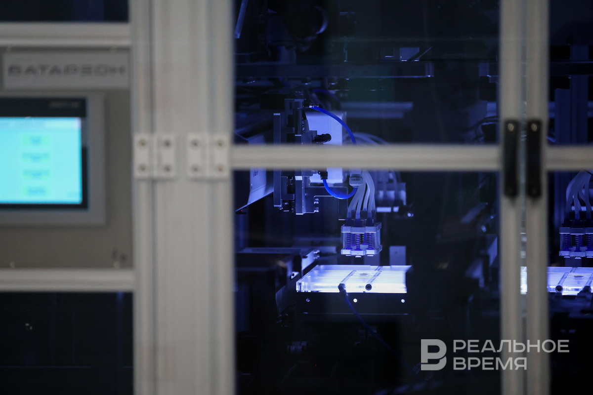   Артем Дергунов / realnoevremya.ru