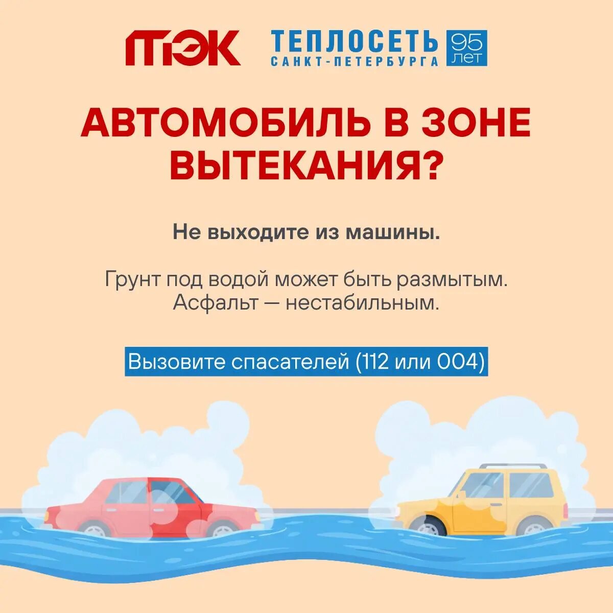    АО «Теплосеть Санкт-Петербурга»