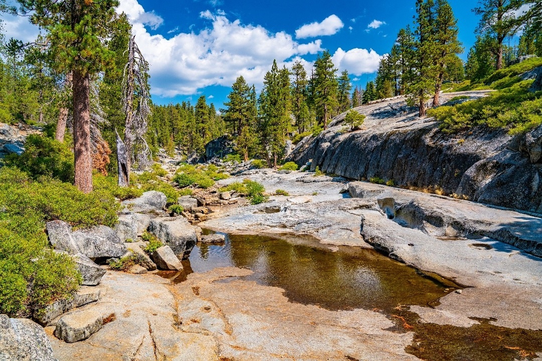 Источник: https://ru.freepik.com/