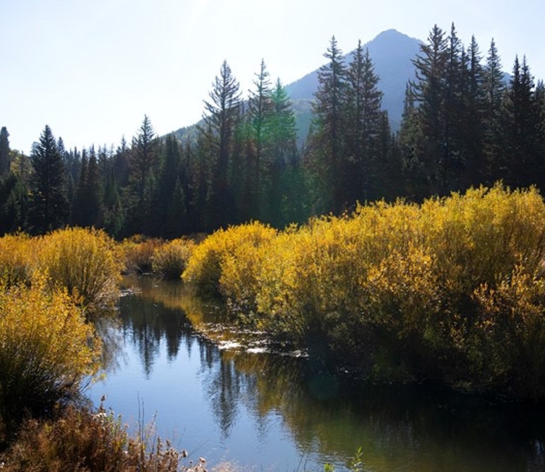 Источник: https://ru.freepik.com/