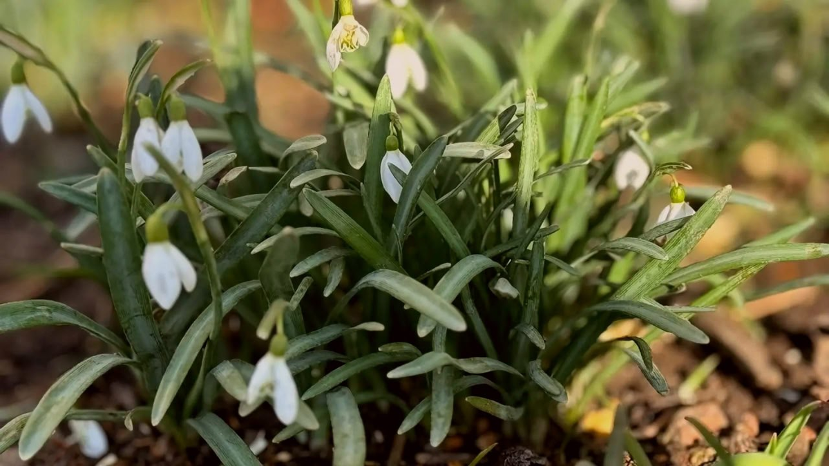Фото: Комитет по благоустройству