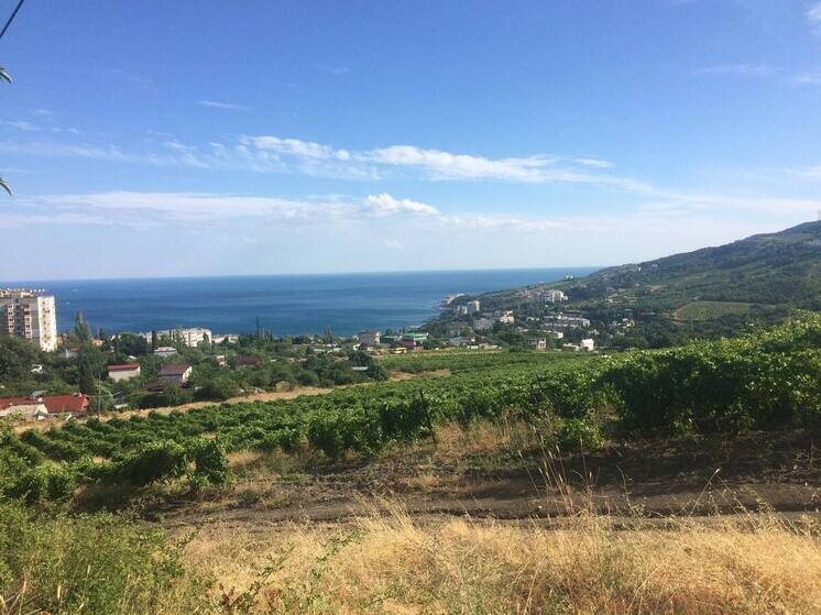     Гурзуф. Фото: МК в Крыму