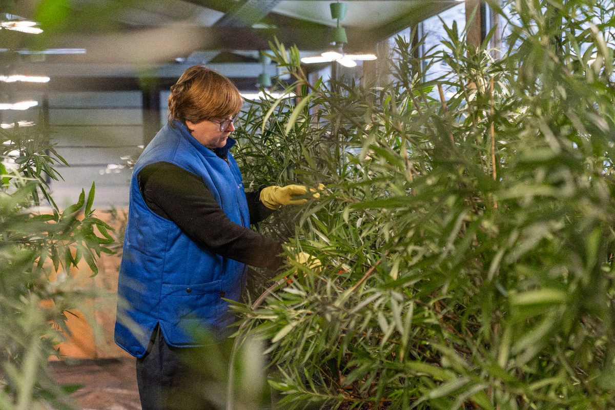 Парк Горького