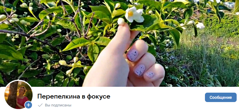 Что стало с показами в Дзен. Новая площадка для ведения блога