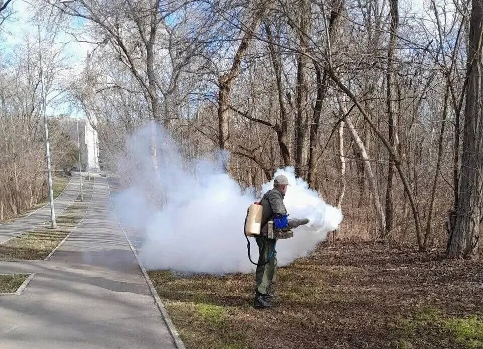    Источник: Telegram-канал Александра Скрябина