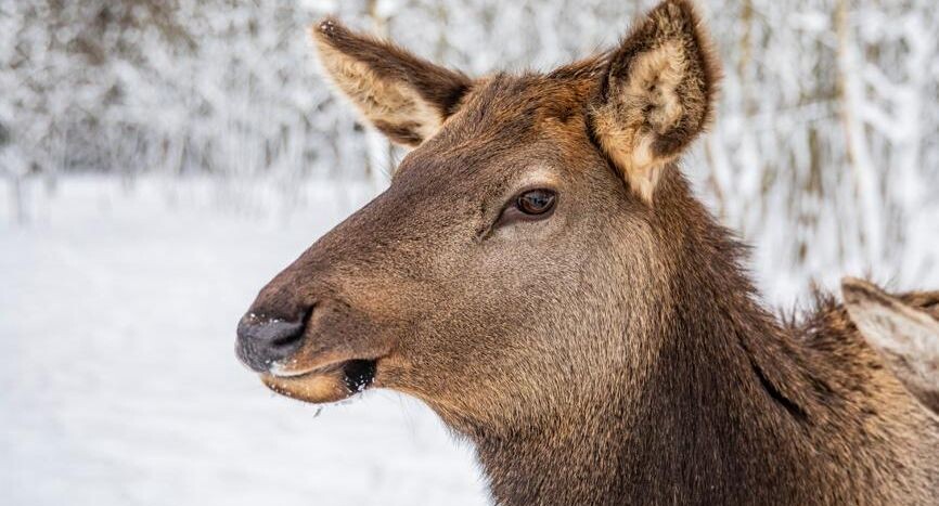    Андрей Тишин / Фотобанк Лори