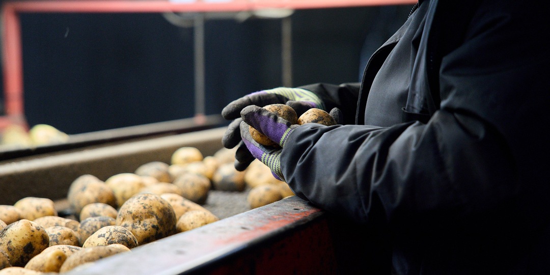 Компания X5 договорилась о сотрудничестве с агроагрегаторами в Нижегородской области