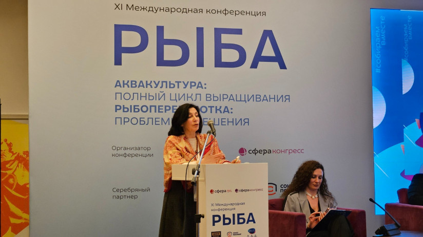 Фото: «Сфера Медиа»