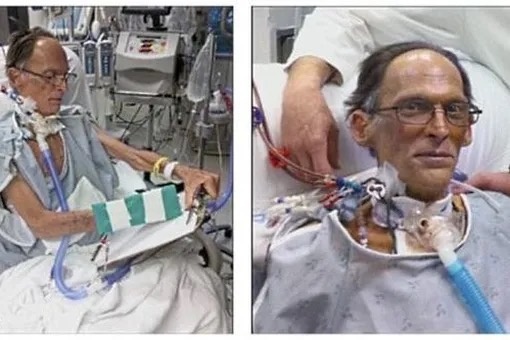 Источник: TechInsider