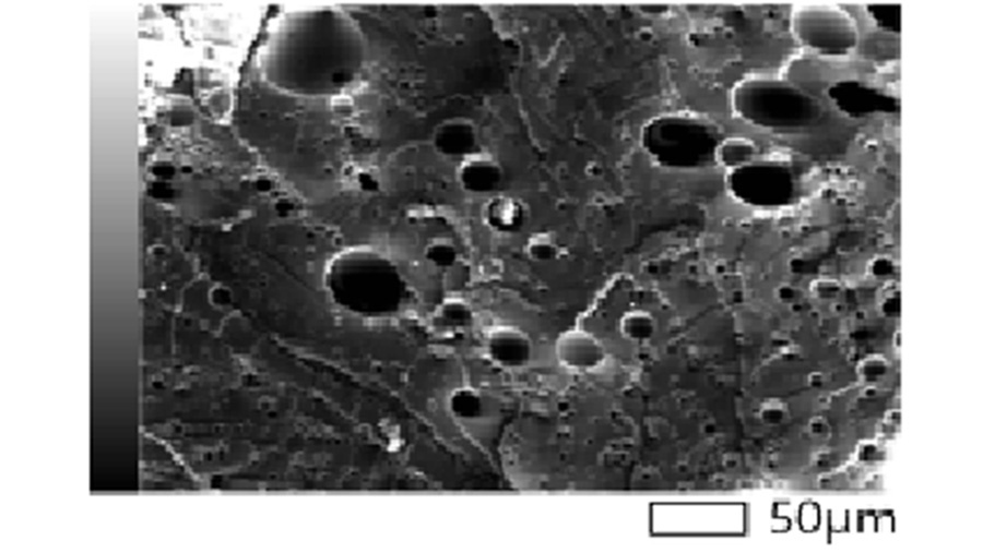 Сорбент под микроскопом. Фото: пресс-служба Университета «Росбиотех»