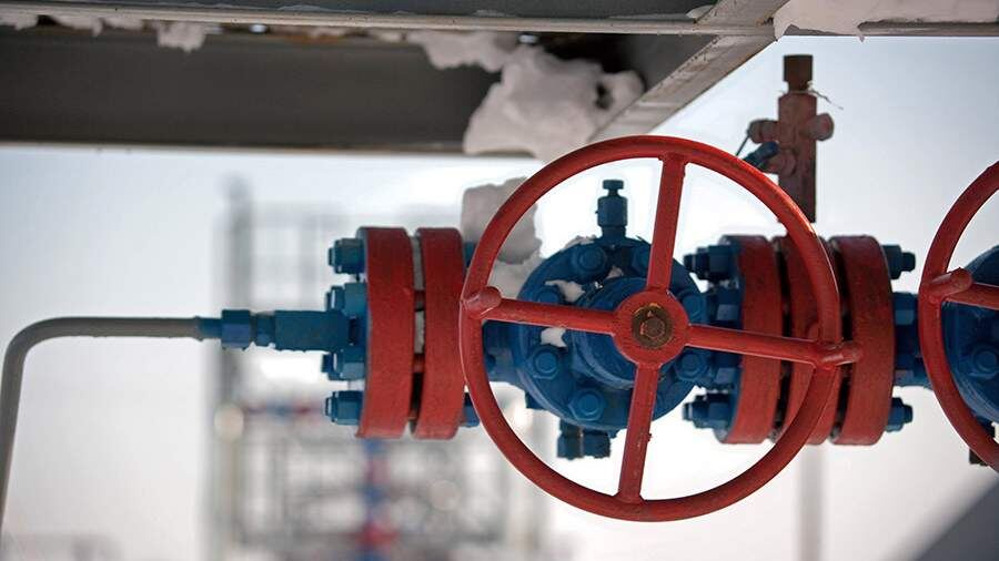 Фото: ИЗВЕСТИЯ/Алексей Белянчев
