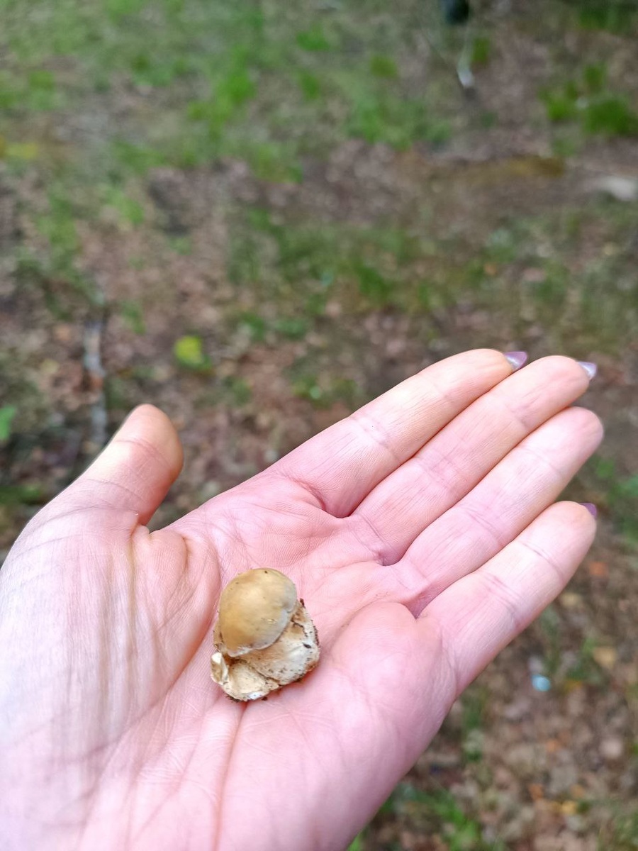 Фото Ольги Чикиревой