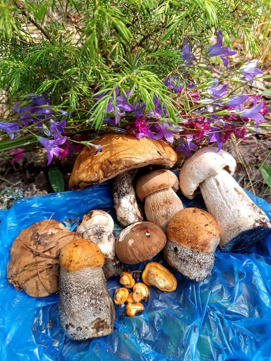 Фото Ольги Чикиревой