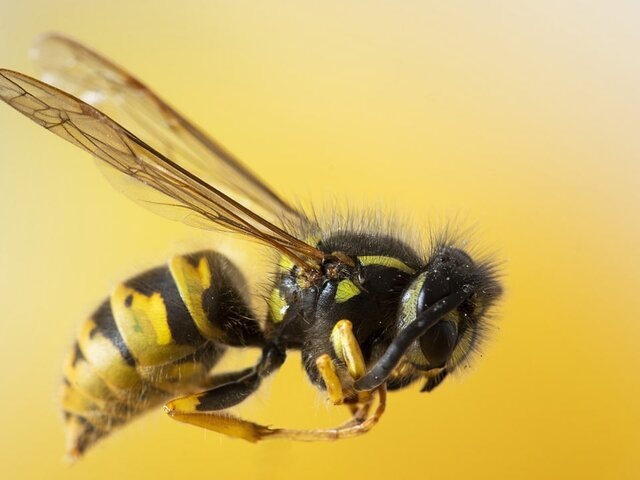    Фото: 123RF.com/wirestock