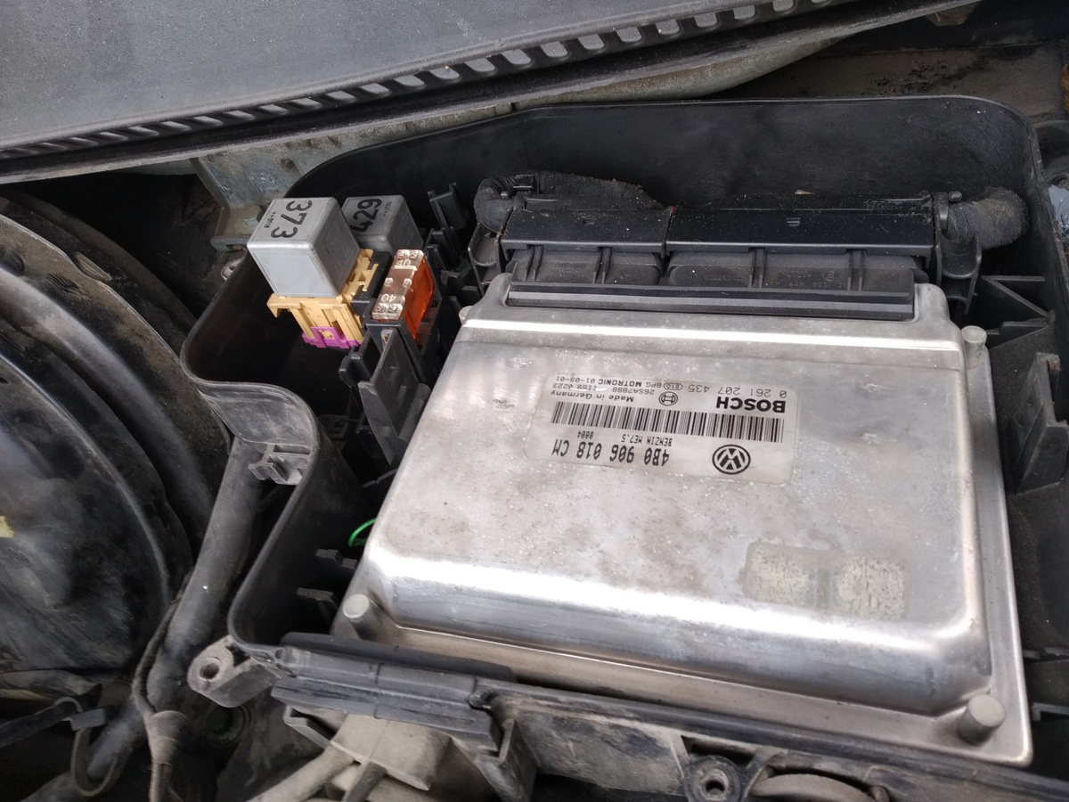 Фото из открытых источников 