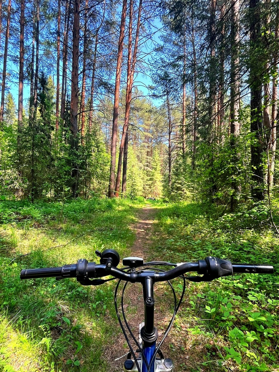 «Запах детства»
Фото: Елизавета Шадрина