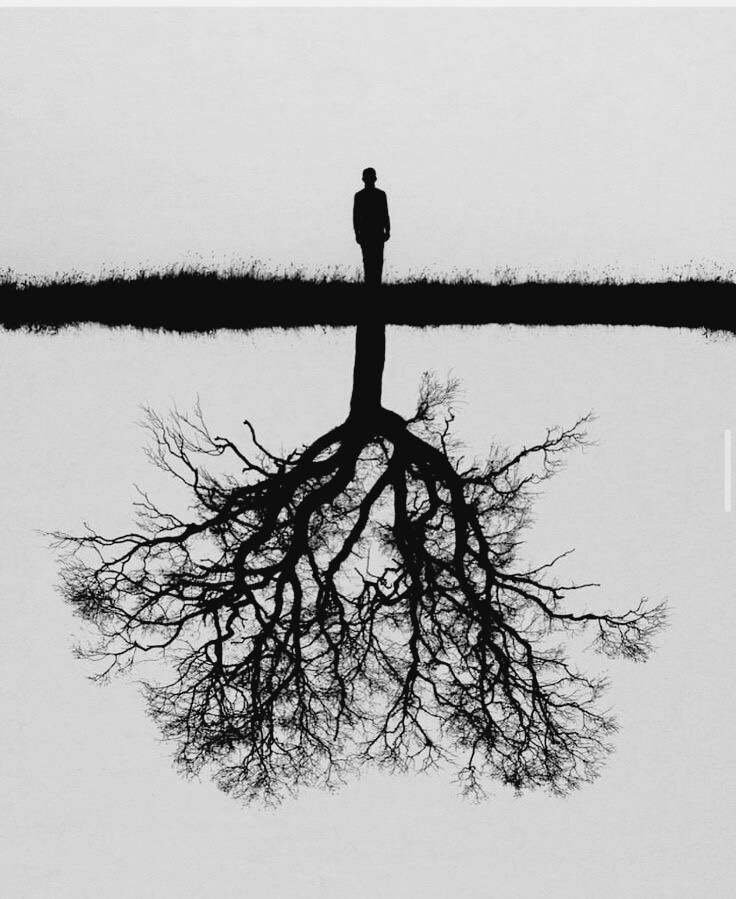 "...И опыт, сын ошибок трудных..."