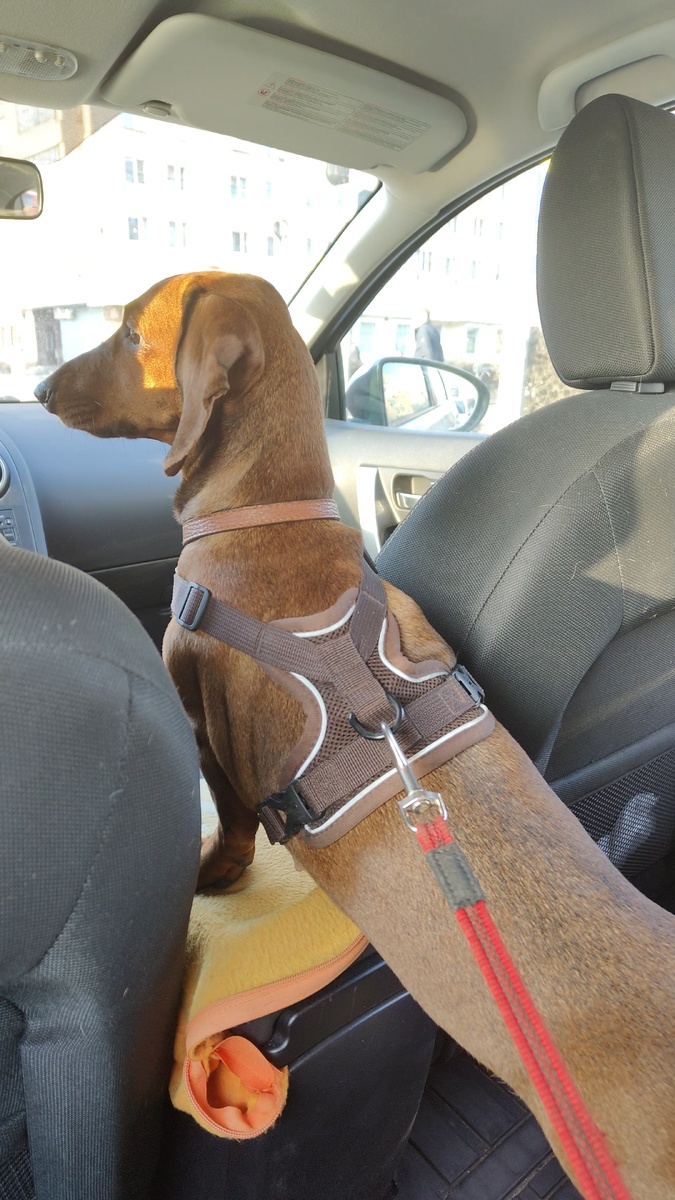 Еду домой сердитая