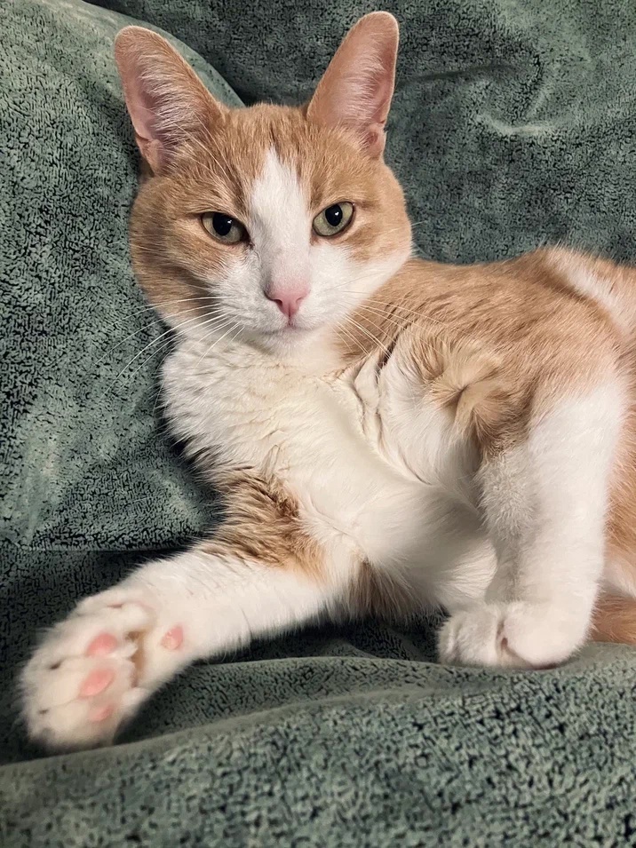 Ну рассказывай