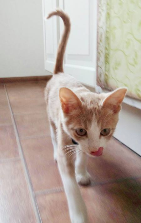 Сам, сам, всё сам.. И орал сам, и на руки залез, а то кто б меня заметил... 