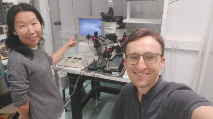    Передовые технологии криоконсервации мозга открывают новые горизонты в вечной жизни, трансформируя традиционные представления о смерти.