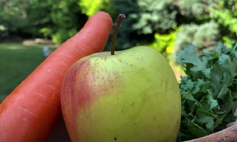 Салат из свеклы, моркови и яблока: свежесть, вкус и максимум пользы за три минуты