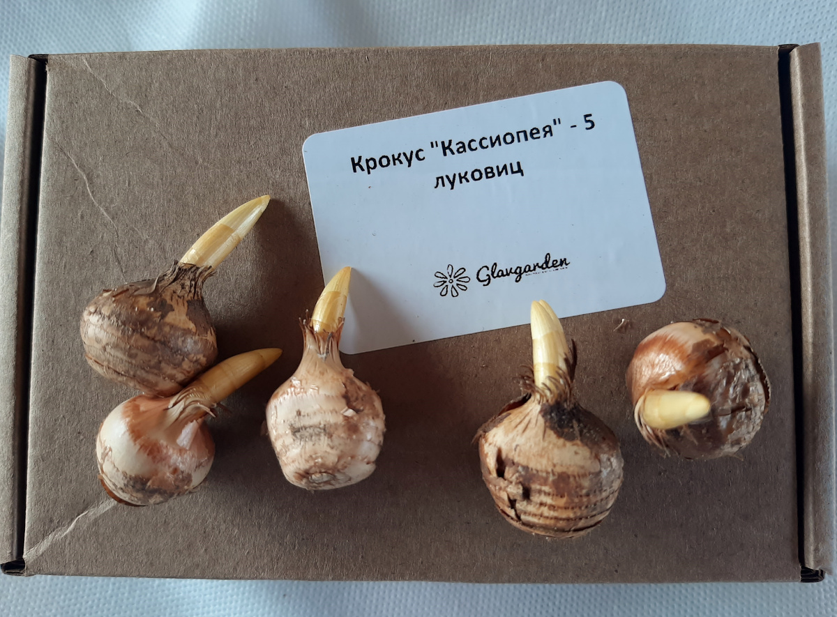 Продавец на фото виден