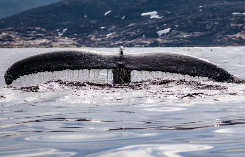     © РИА Новости. Дмитрий Дубов