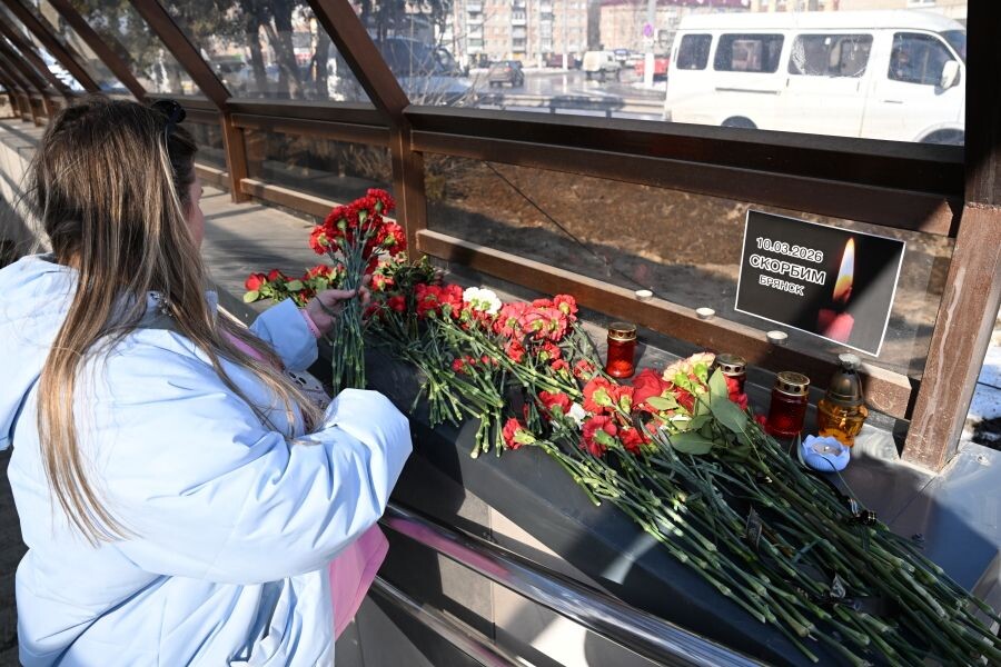     / Источник: © Максим Блинов/РИА Новости