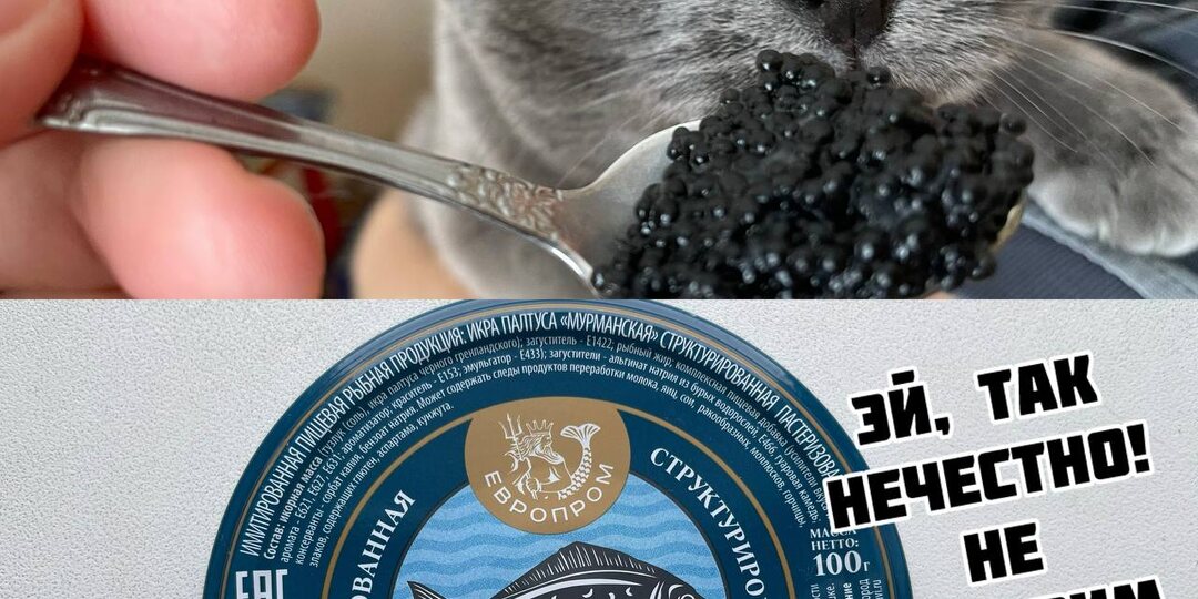 9 мемов, в которых кошки  заставят вас забыть про плохое настроение