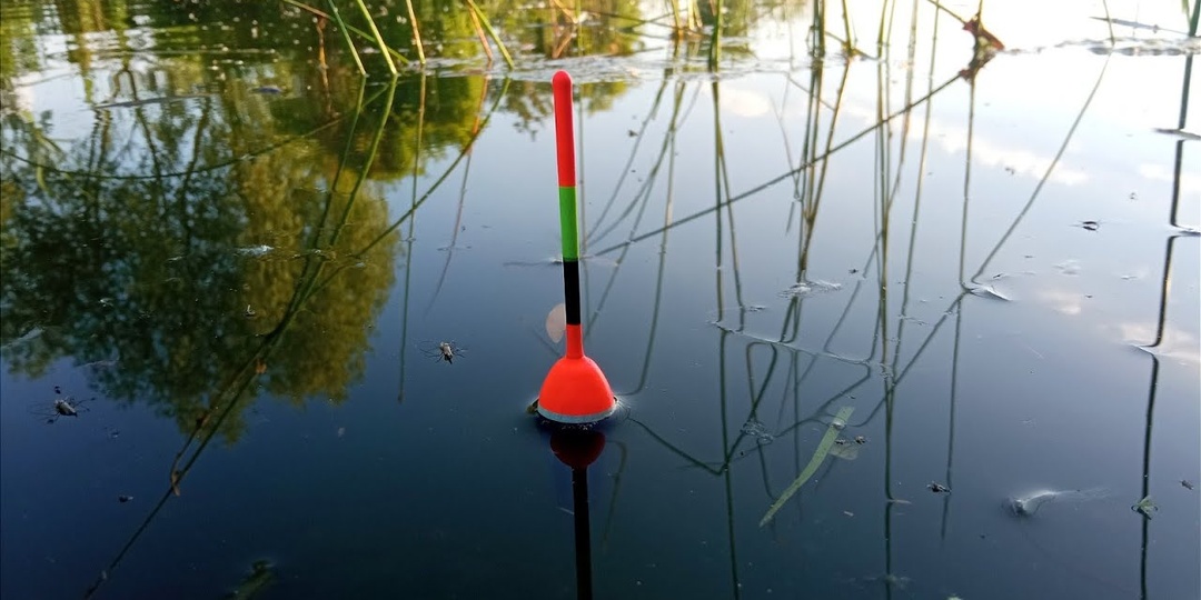 Поплавочная ловля от А до Я: полное руководство для начинающих рыболовов 2026