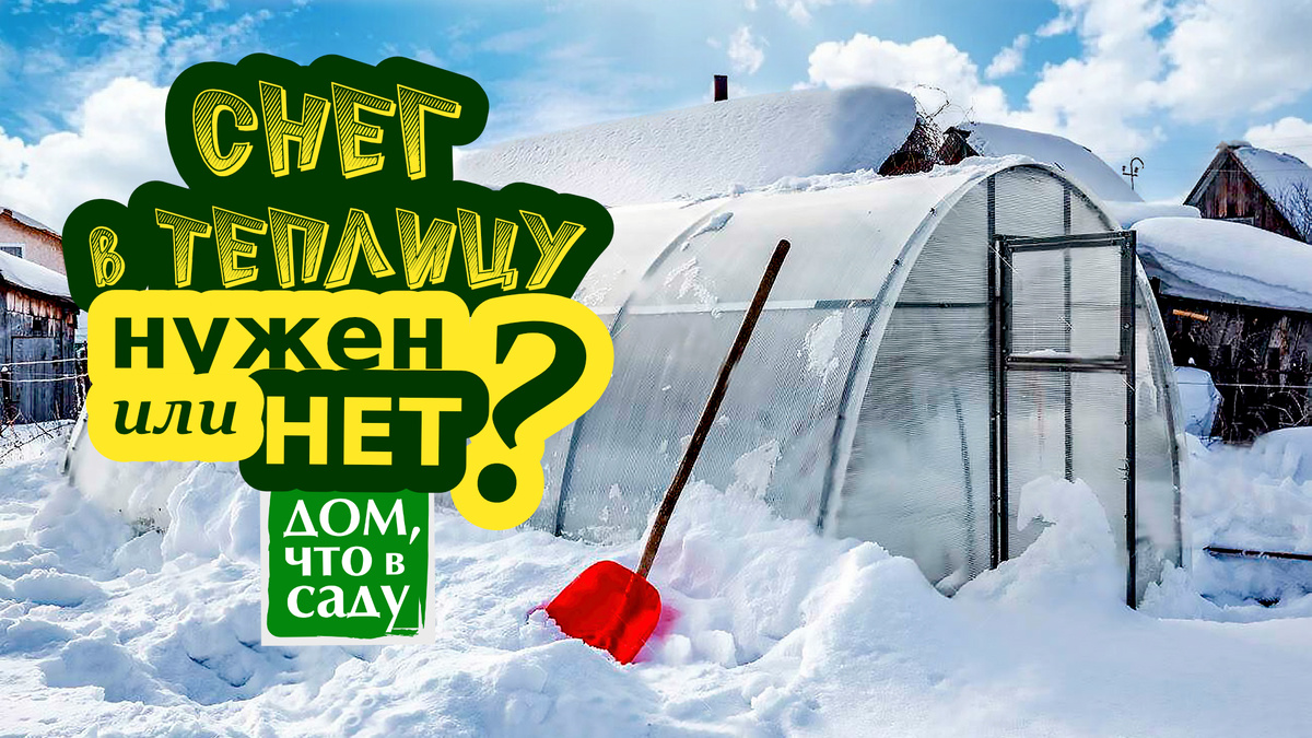 Дом, что всаду