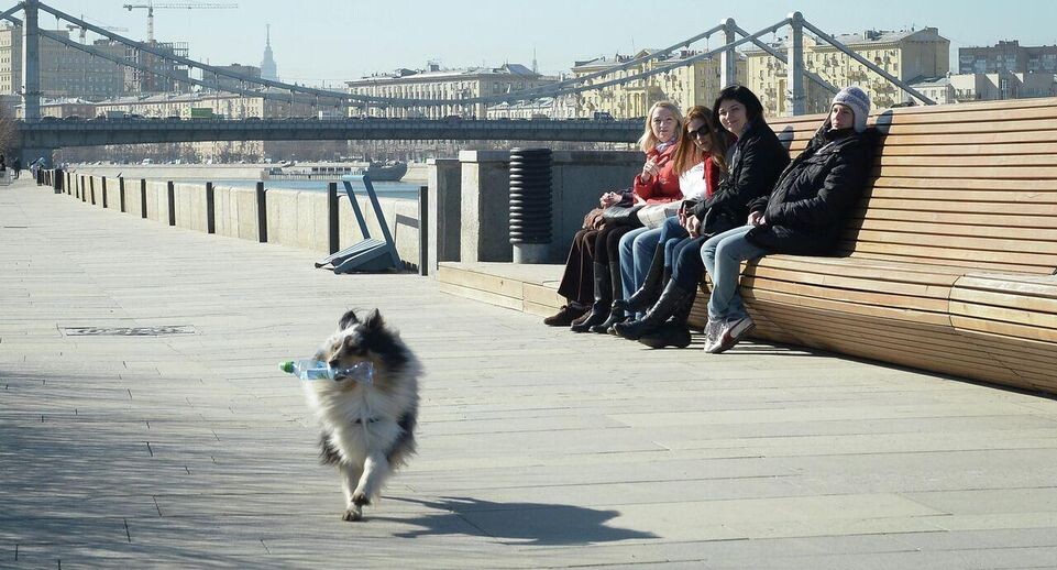    РИА «Новости»