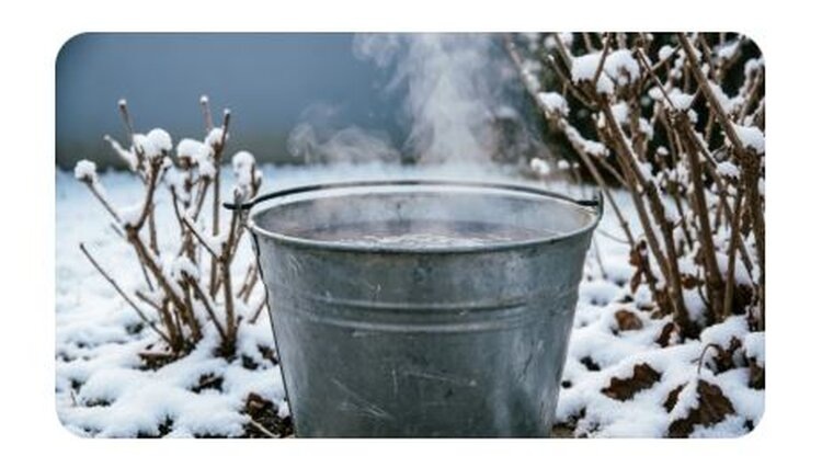 До каких чисел в марте можно «шпарить» смородину и что попутно обдать кипятком