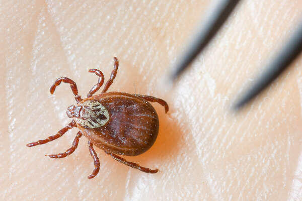 Global Look Press   📷