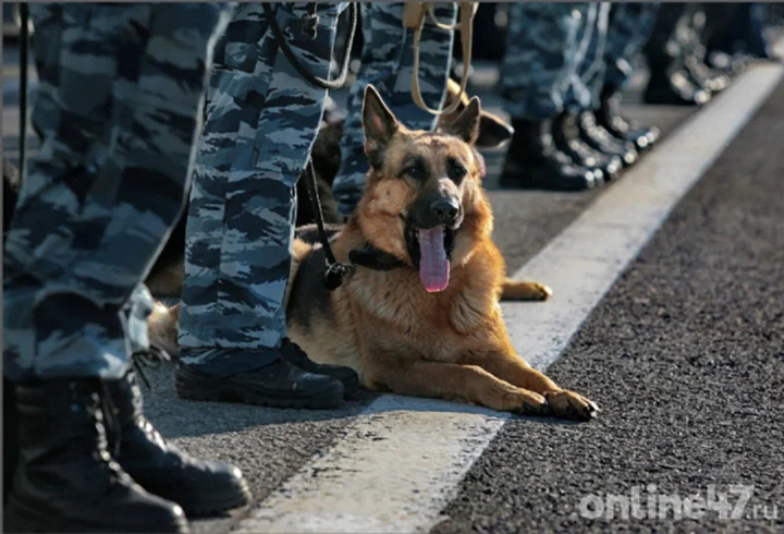 фото: Валентин Илюшин/Online47