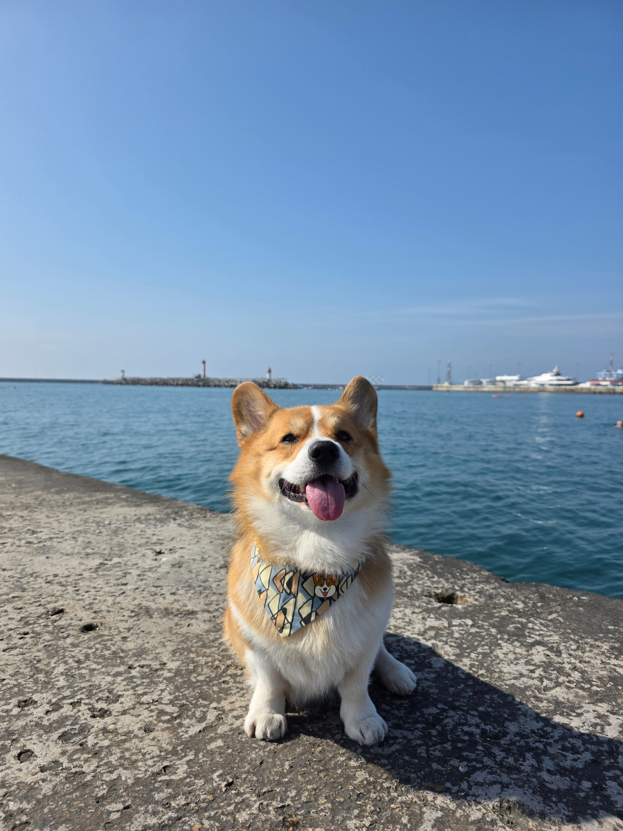 Корж Марти путешественник!