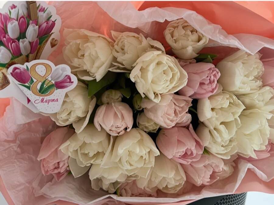 Букет тюльпанов на 8 Марта. Фото автора канала