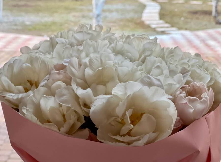 Тюльпаны в букете. Фото автора канала