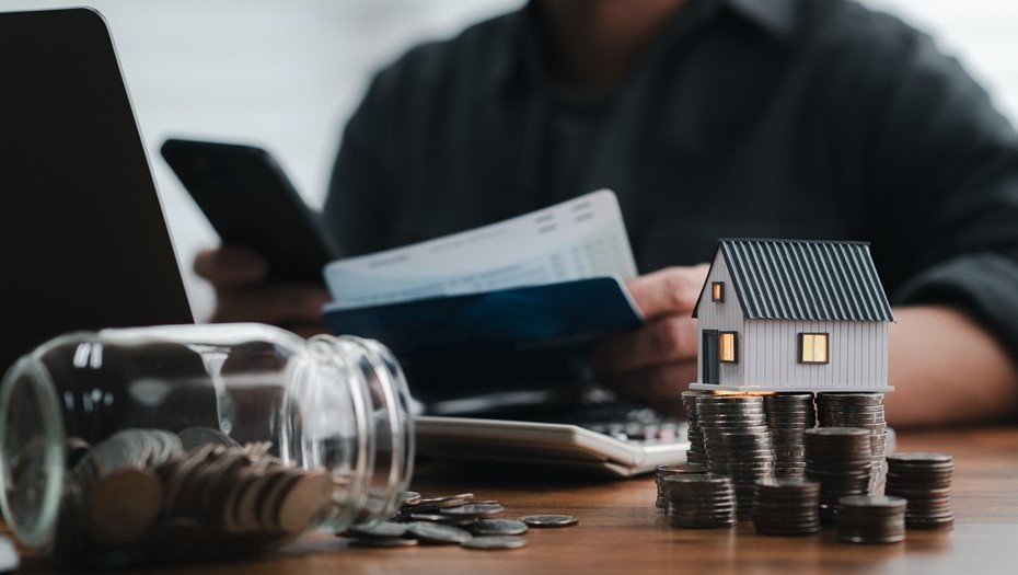 Автор фото: SORN340 Studio Images / Shutterstock / FOTODOM