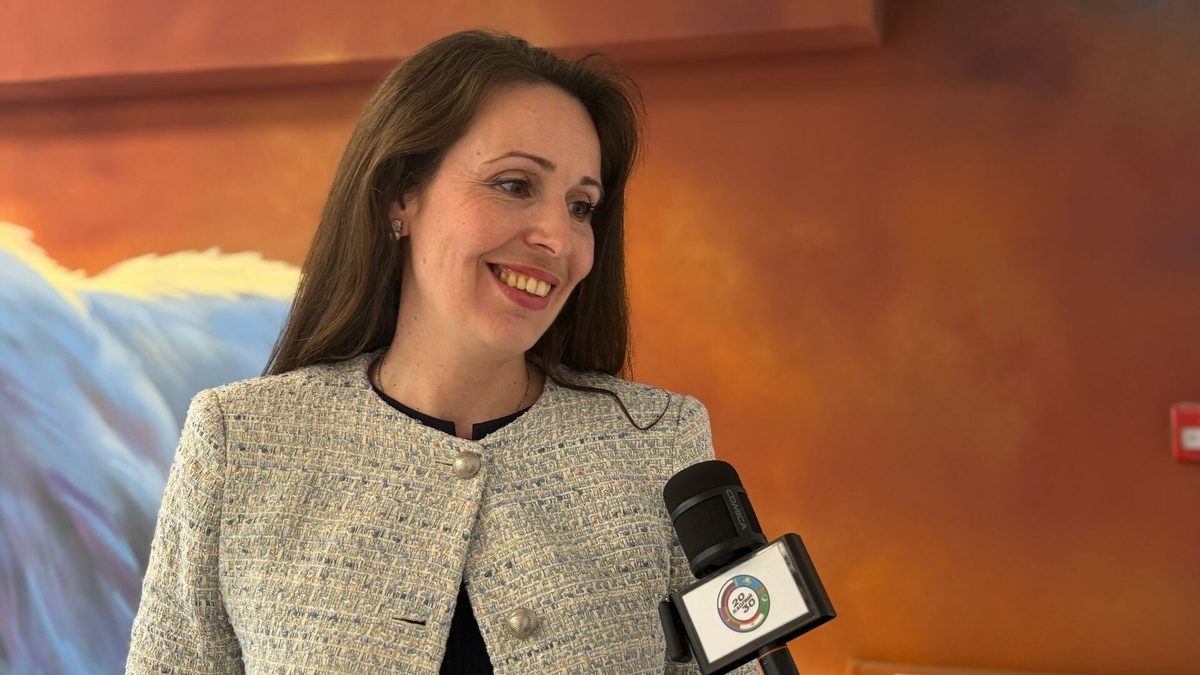   Ирина Стрельникова заявила, что крайне важно для развития транспортной сети объединить Северный морской путь и транспортный коридор «Север-Юг». Источник: пресс-служба АНО СК «Каспий 2030».