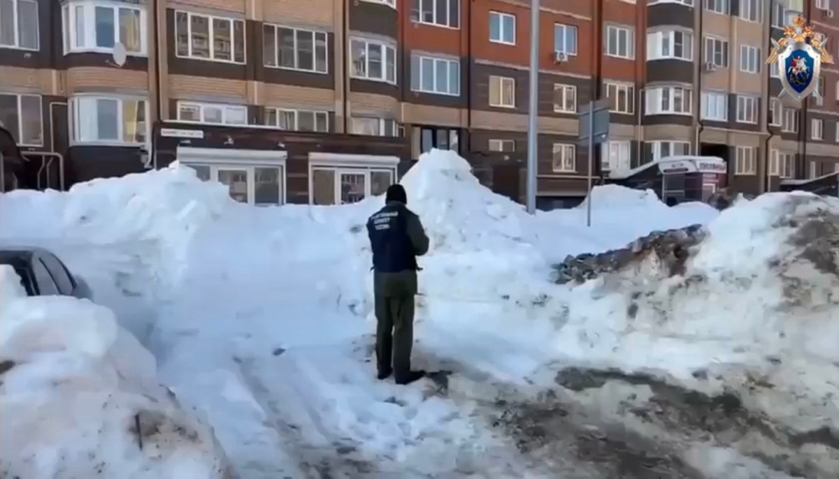 Скриншот из видео СУ СК России по Марий Эл