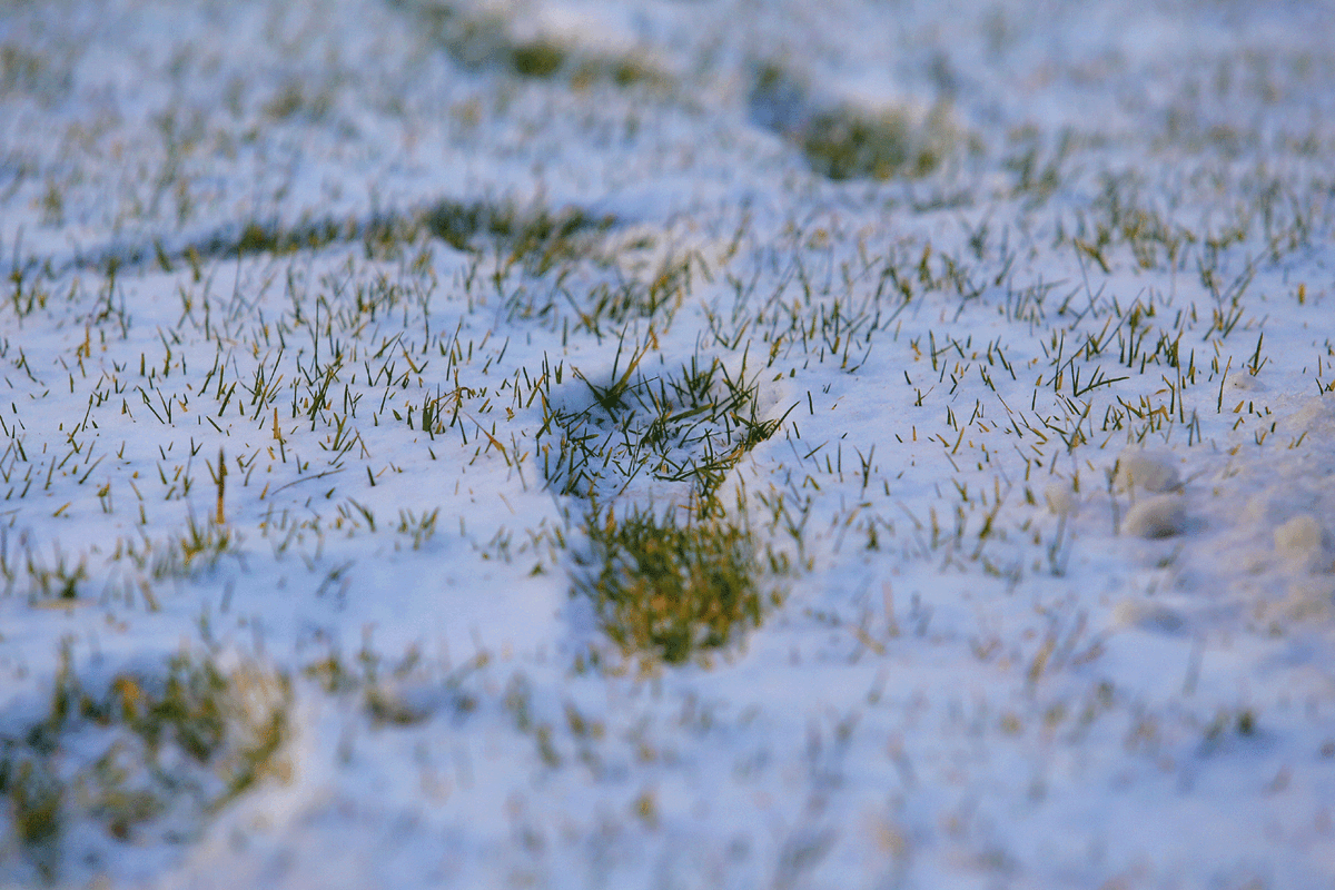    Фото: nsknews.info