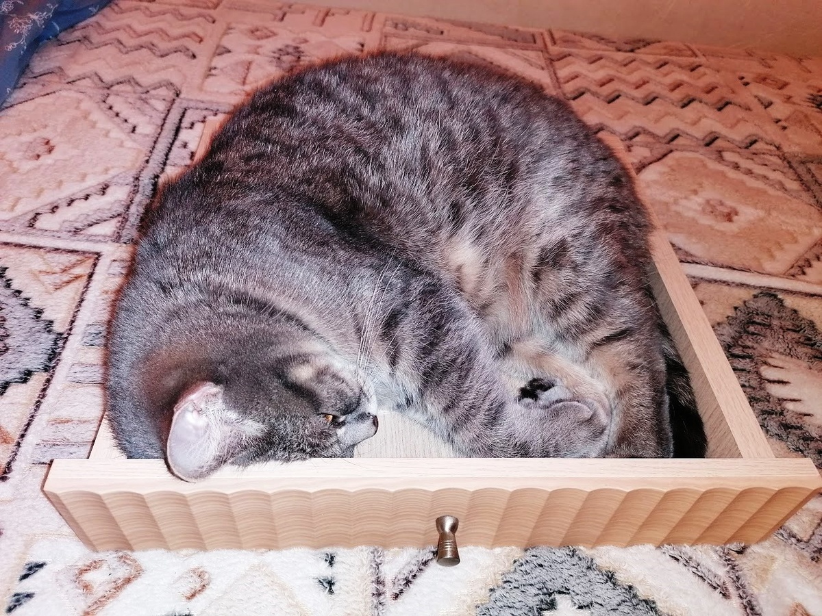 Вот как она в этот маленький ящичек уместилась? :) Фото автора