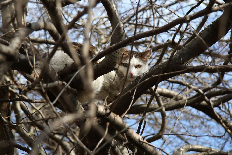    Медиасток.рф